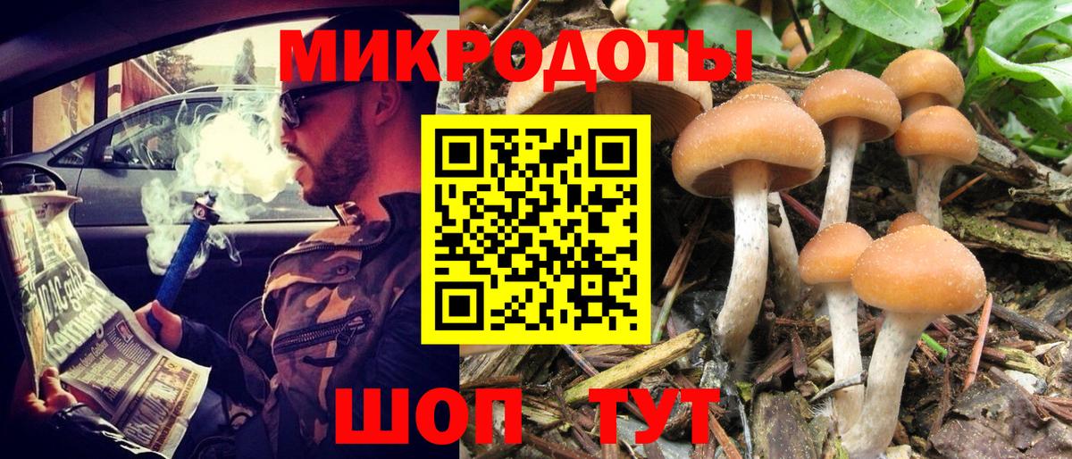 Галлюциногенные грибы мухоморы  Вход с VPN  где продают   Псилоцибиновые грибы GOLDEN TEACHER  Алатырь 